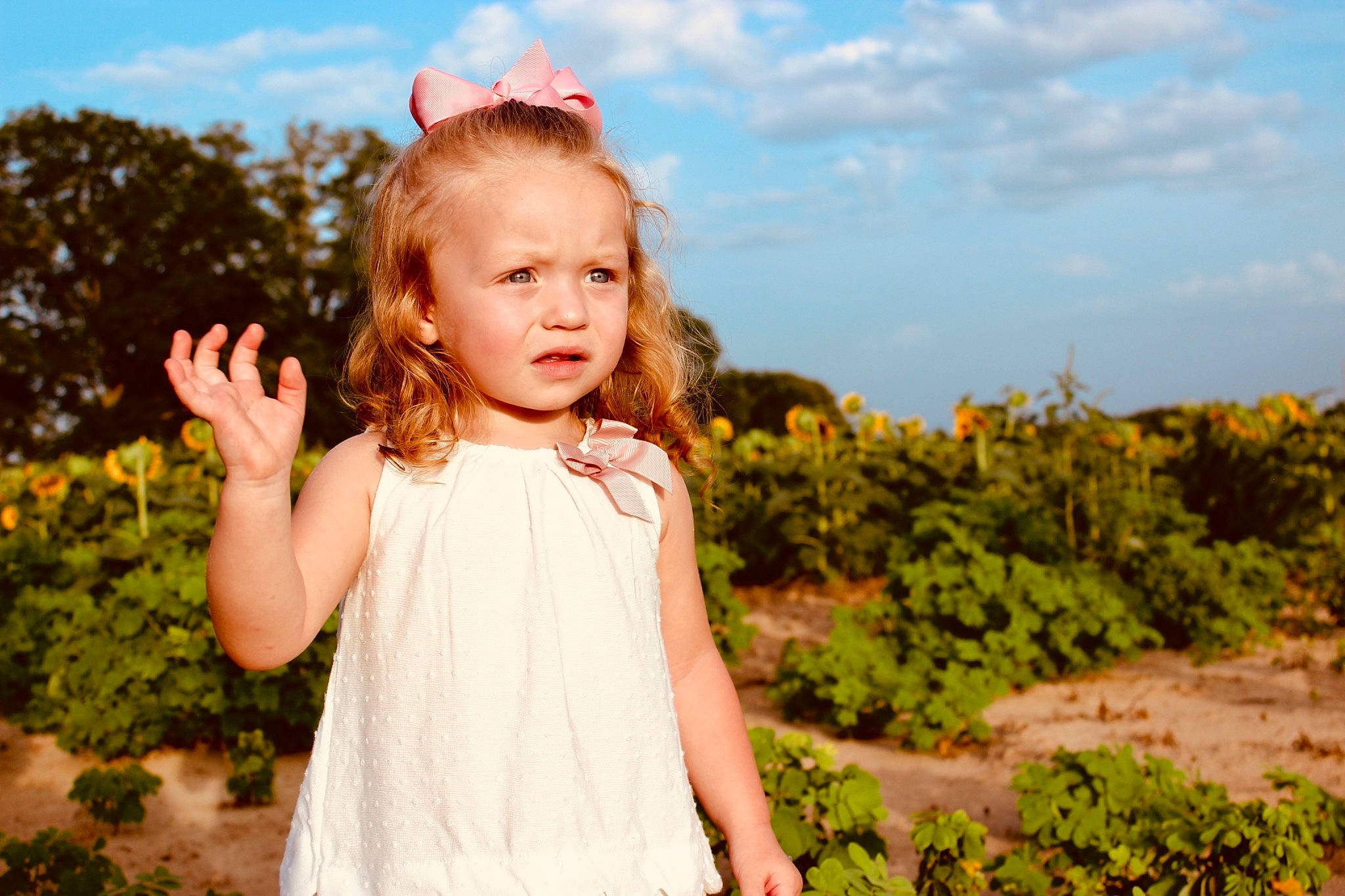 Addilynn is registered to the contest to win money with this photo: beauty, blond, child, child_model, face, fun, grass, happy, head, people_in_nature, person, photograph, photography, portrait, sky, smile, spring, summer, sunlight, toddler