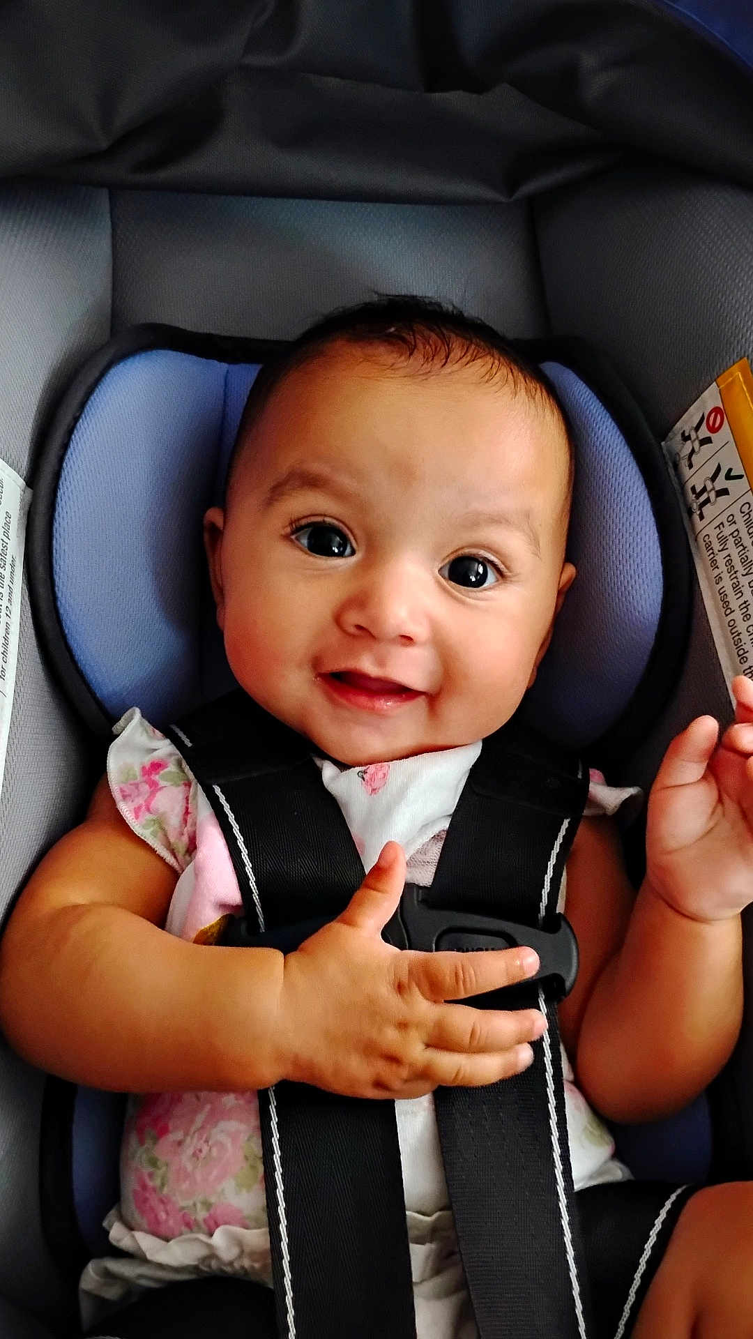 Halo joined the competition — help win amazing prizes! baby, car_seat, child, smiling, happy, infant, seatbelt, safety, cute, portrait, clothing, toddler, hand, face, head, seat, fabric, straps, closeup, indoors