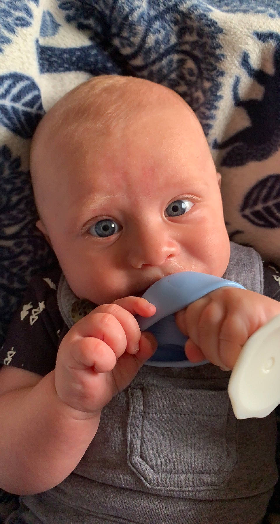 Finnegan is registered to the contest to win money with this photo: baby, baby_toddler_clothing, cheek, child, chin, close_up, ear, eyebrow, eyelash, finger, gesture, hand, lip, mouth, nail, nose, person, skin, thumb, toddler