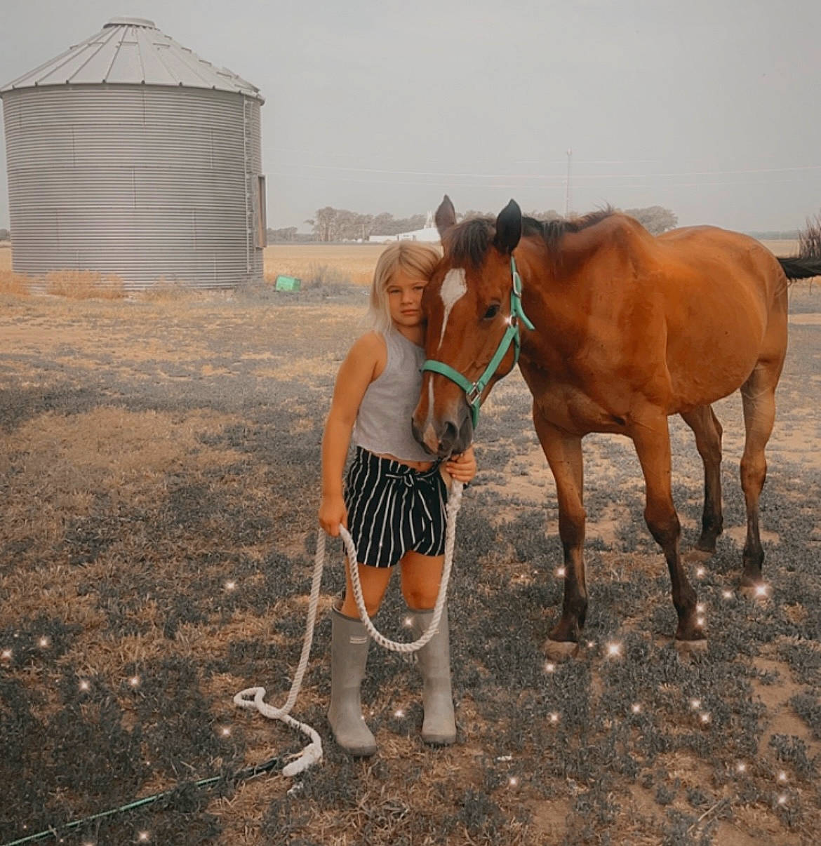 Lillei'Ann joined the competition — help win amazing prizes! bridle, field, grassland, grazing, horse, horse_supplies, horse_tack, landscape, liver, livestock, mane, mare, pack_animal, person, rein, rural_area, sky, soil, sorrel, stallion