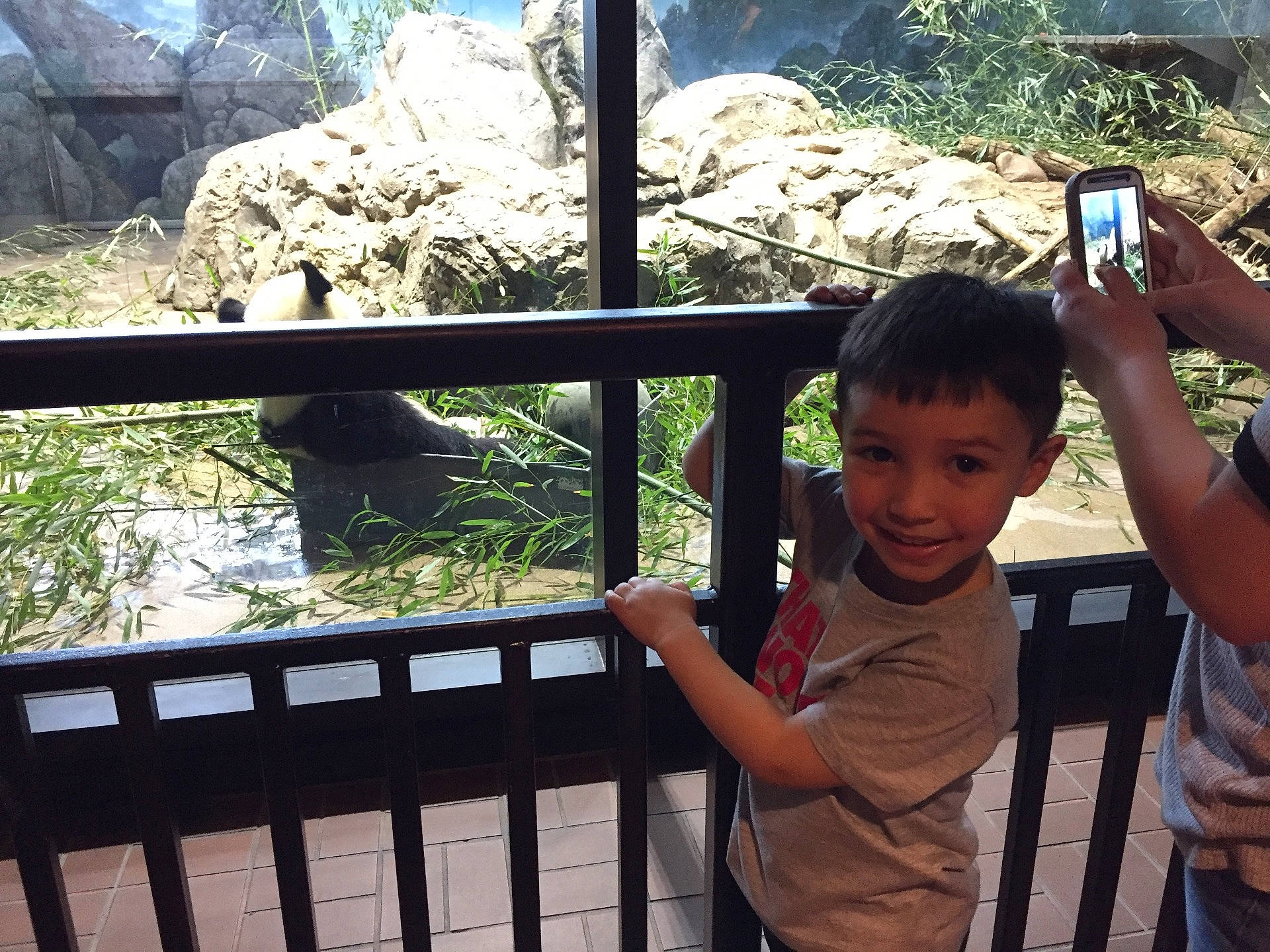 Lincoln joined the competition — help win amazing prizes! child, fun, joy, person, plant, recreation, travel, tree, vacation, zoo