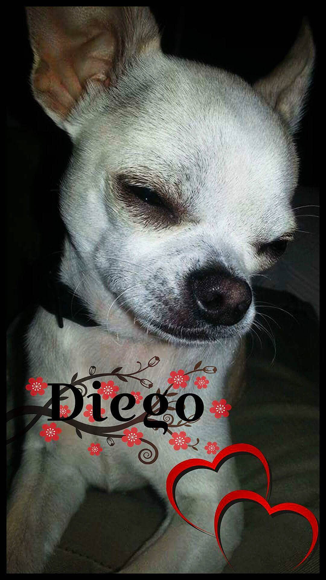 Diego
