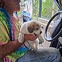 man, puppy, dog, tie_dye_shirt, cigarette, car_interior, steering_wheel, open_car_door, forest, towel, window, sitting, holding, tongue_out, outdoor, nature, casual, pet, companion, relaxed