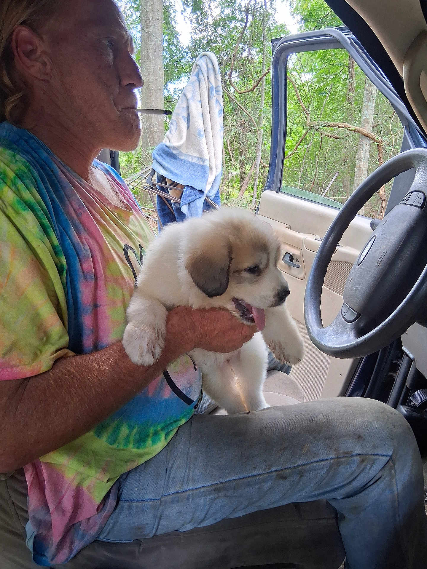 Izzy is registered to the contest to win money with this photo: man, puppy, dog, tie_dye_shirt, cigarette, car_interior, steering_wheel, open_car_door, forest, towel, window, sitting, holding, tongue_out, outdoor, nature, casual, pet, companion, relaxed