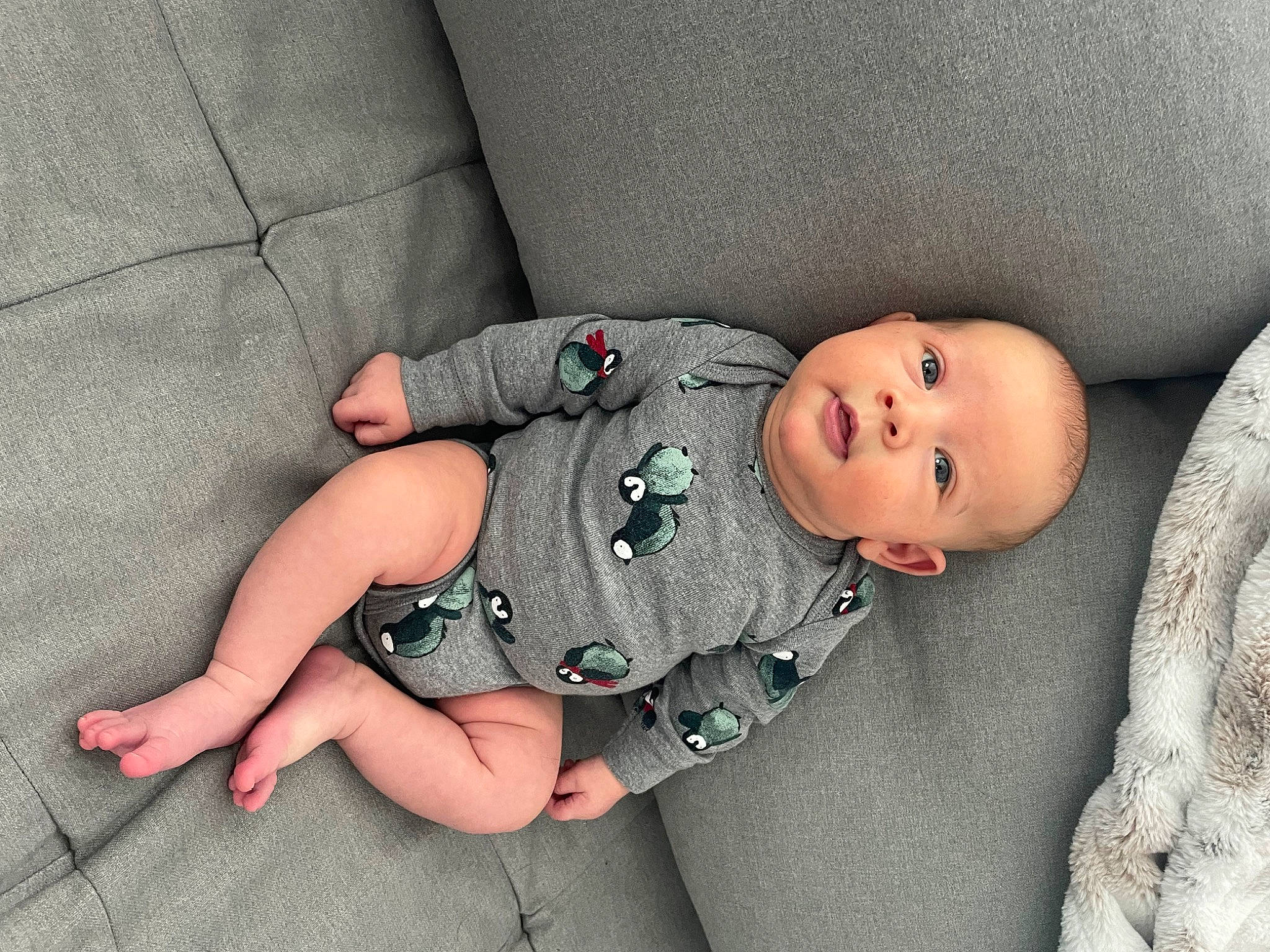 Clay joined the competition — help win amazing prizes! baby, baby_products, baby_toddler_clothing, cheek, child, chin, comfort, eye, finger, grass, grey, linens, pattern, person, sitting, skin, sleeve, sock, textile, toddler