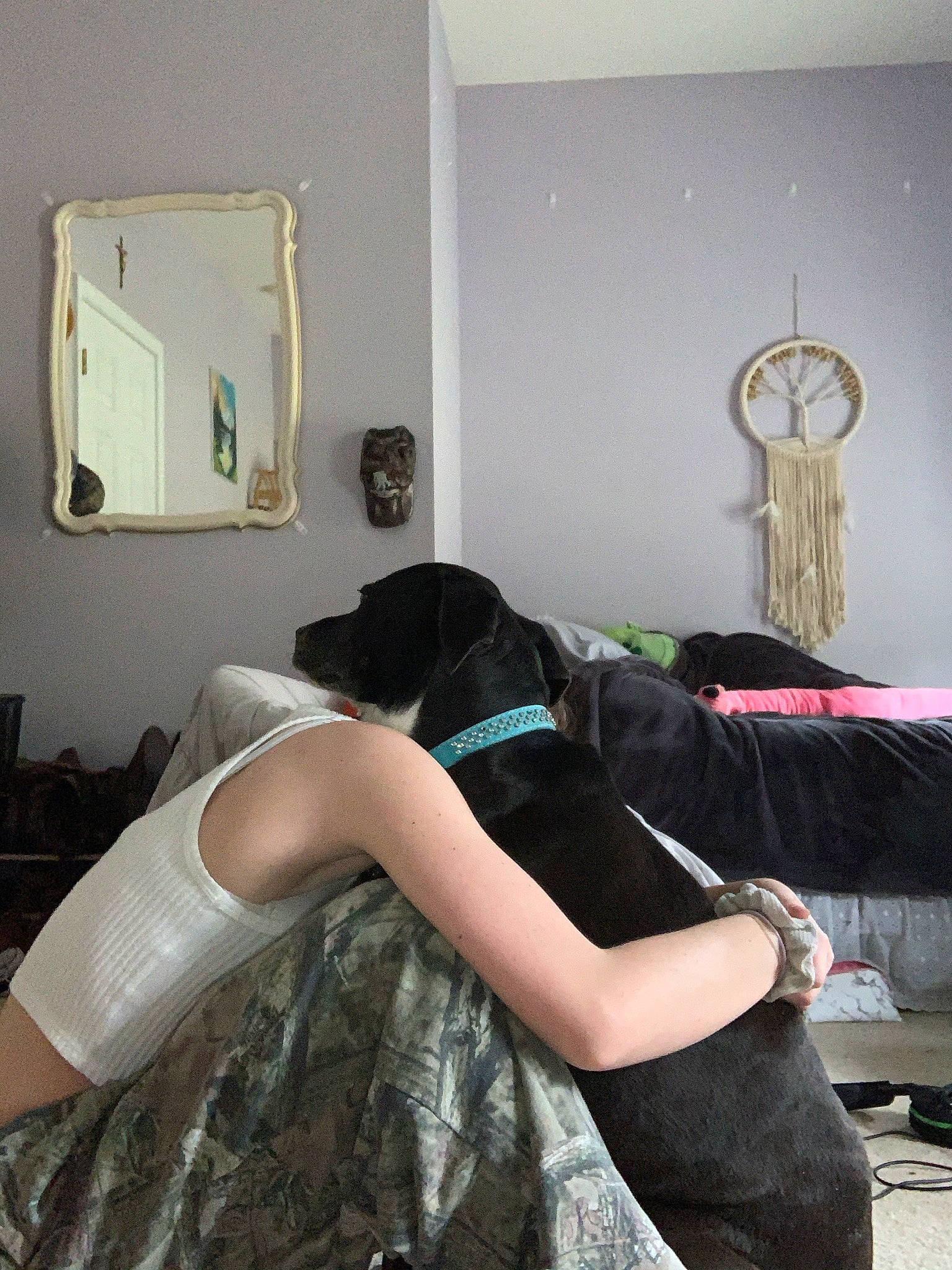 Kona is registered to the contest to win money with this photo: bed, bedding, bedroom, comfort, fashion_design, floor, flooring, grey, hardwood, human_leg, interior_design, knee, linens, living_room, long_hair, room, textile, thigh, wall, wood