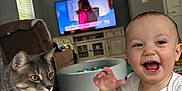 Jacob joined the competition — help win amazing prizes! baby, cat, smiling, indoor, living_room, television, furniture, person, pet, tabby_cat, child, snack, happy, curious, couch, window, door, floor, toy, white_clothing
