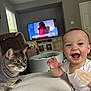 baby, cat, smiling, indoor, living_room, television, furniture, person, pet, tabby_cat, child, snack, happy, curious, couch, window, door, floor, toy, white_clothing