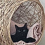 animal, black_cat, blanket, cat, comfortable, cozy, curious, cute, domestic, furniture, green_eyes, home, indoor, pet, relaxing, resting, soft, sphere, wicker_bed, woven
