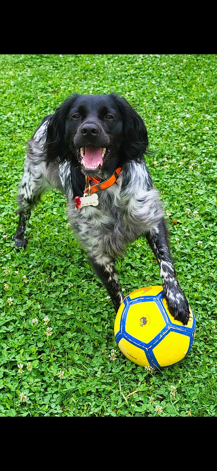 Ulla
