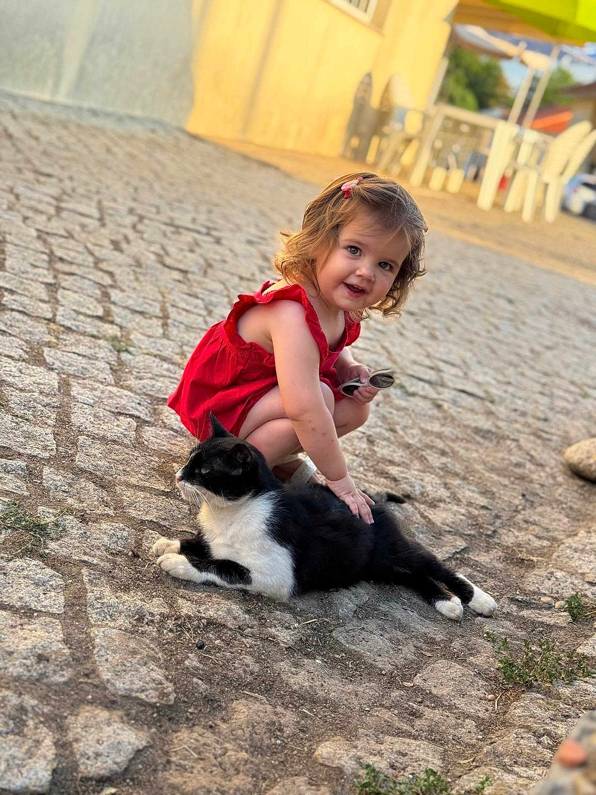 Catalina participe au concours pour gagner de l'argent avec cette photo : animal, black_and_white_cat, cat, child, cobblestone, curly_hair, daylight, gentle, happy, nature, outdoor, person, petting, playing, red_dress, sitting, street, sunlight, toddler, young_child