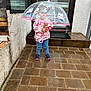 Catalina participe au concours pour gagner de l'argent avec cette photo : brick_patio, building, child, curious, cute, door, jeans, outdoor, pacifier, playful, rain, rainy_day, sneakers, step, sweater, toddler, transparent_umbrella, umbrella, wet, window