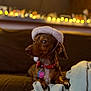 animal, blanket, blurry_background, brown_dog, cozy, curious, cute, cute_pet, dog, domestic_animal, fairy_lights, hat, holiday, indoor, pet, red_collar, resting, small_dog, soft_focus, warm_lighting