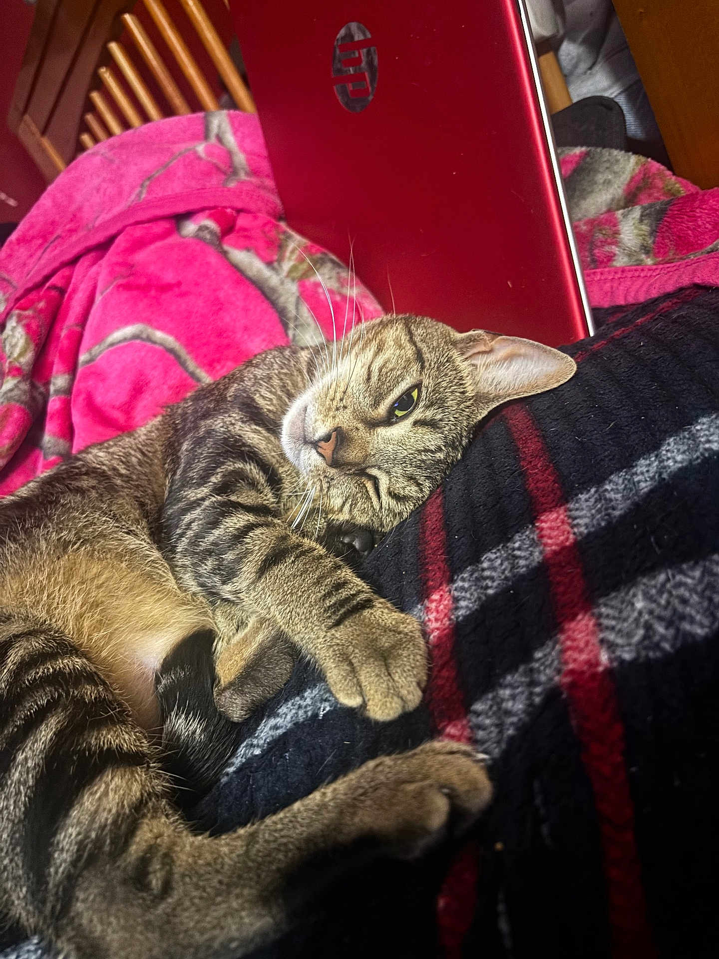 Luna