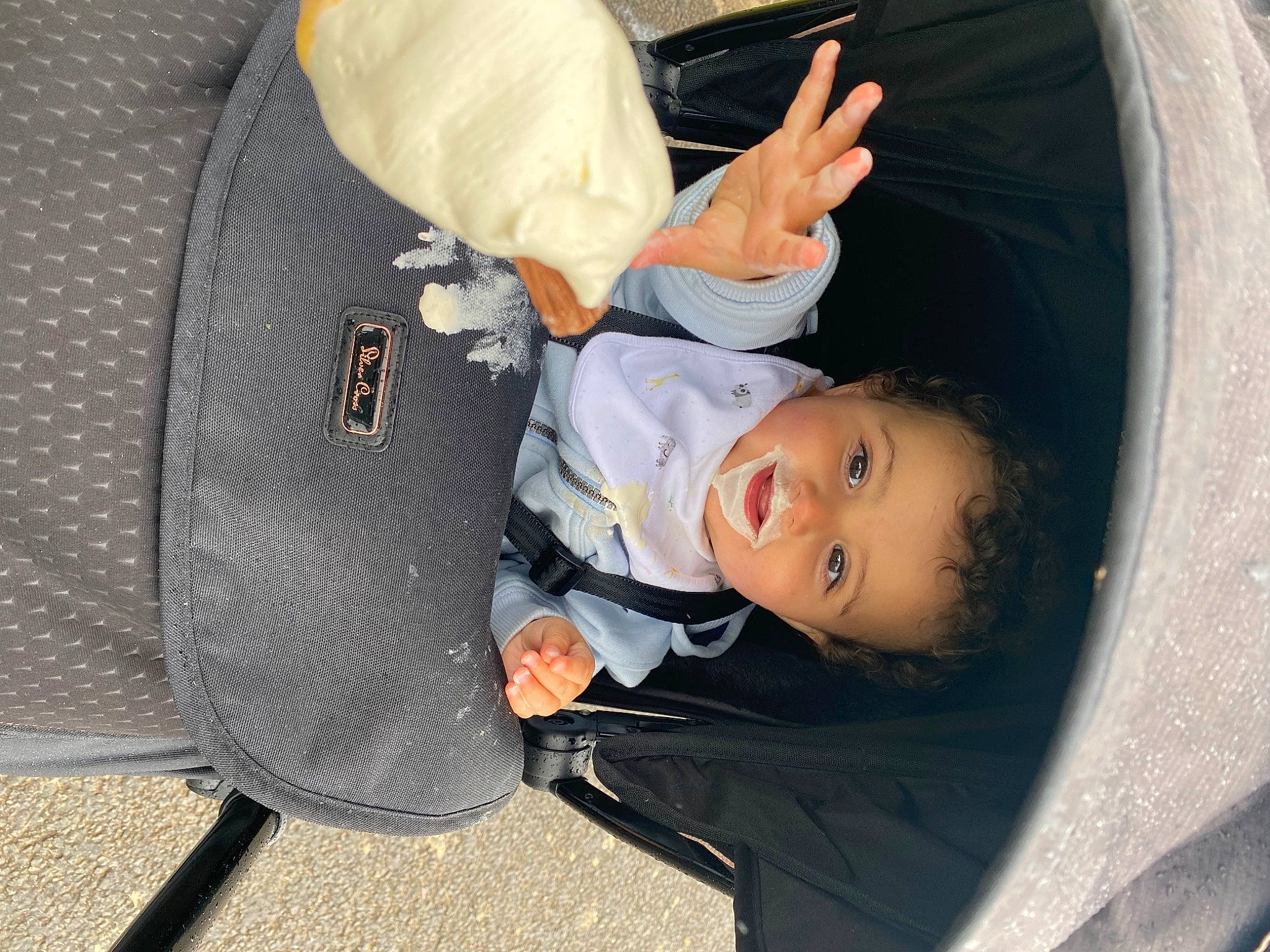 Barney is registered to the contest to win money with this photo: auto_part, baby, baby_carriage, baby_in_car_seat, baby_products, baby_safety, baby_toddler_clothing, car_seat, child, comfort, family_car, human, luxury_vehicle, mammal, motor_vehicle, person, sitting, toddler, transport, tree