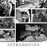 arm, black_and_white, blanket, cat, collage, cozy, cute, face, furniture, holding, human, indoor, introducing, kitten, litter_box, pet, playing, portrait, sleeping, toy
