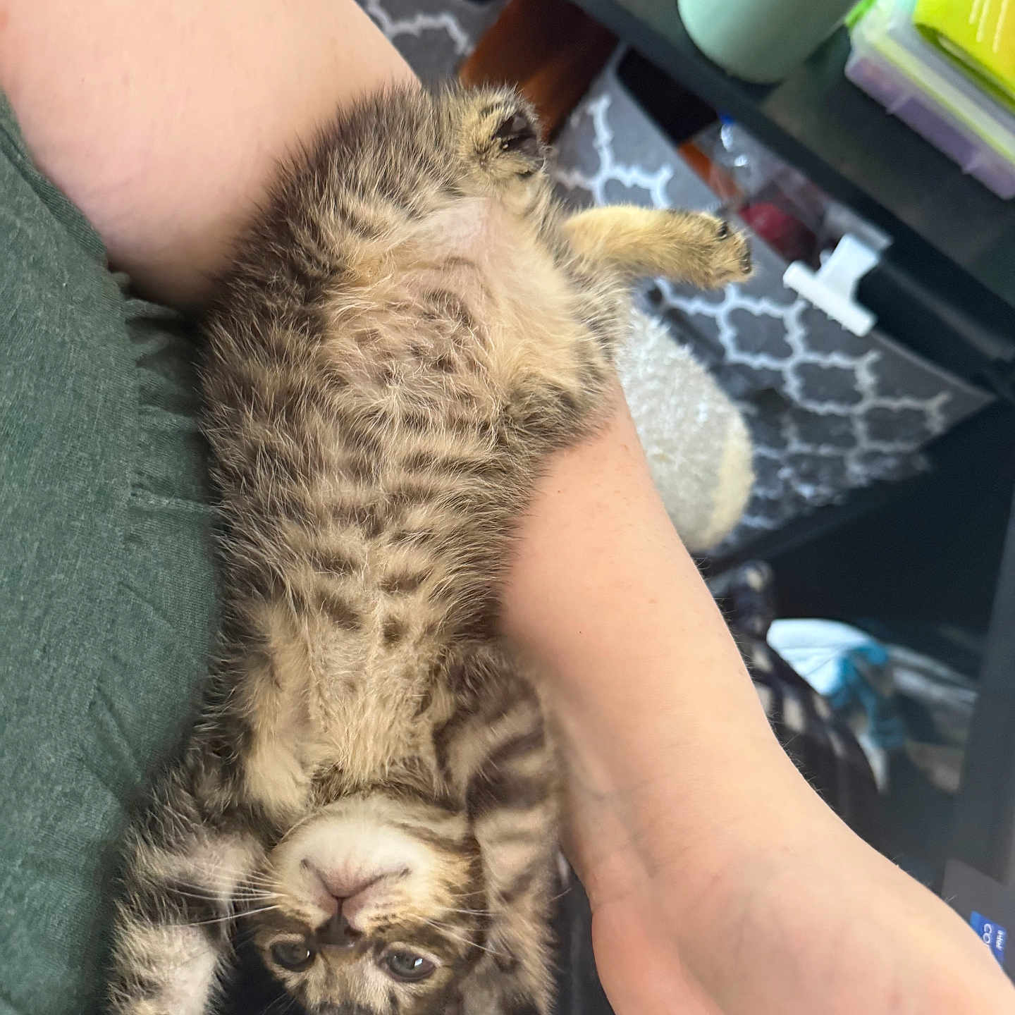 Murphy