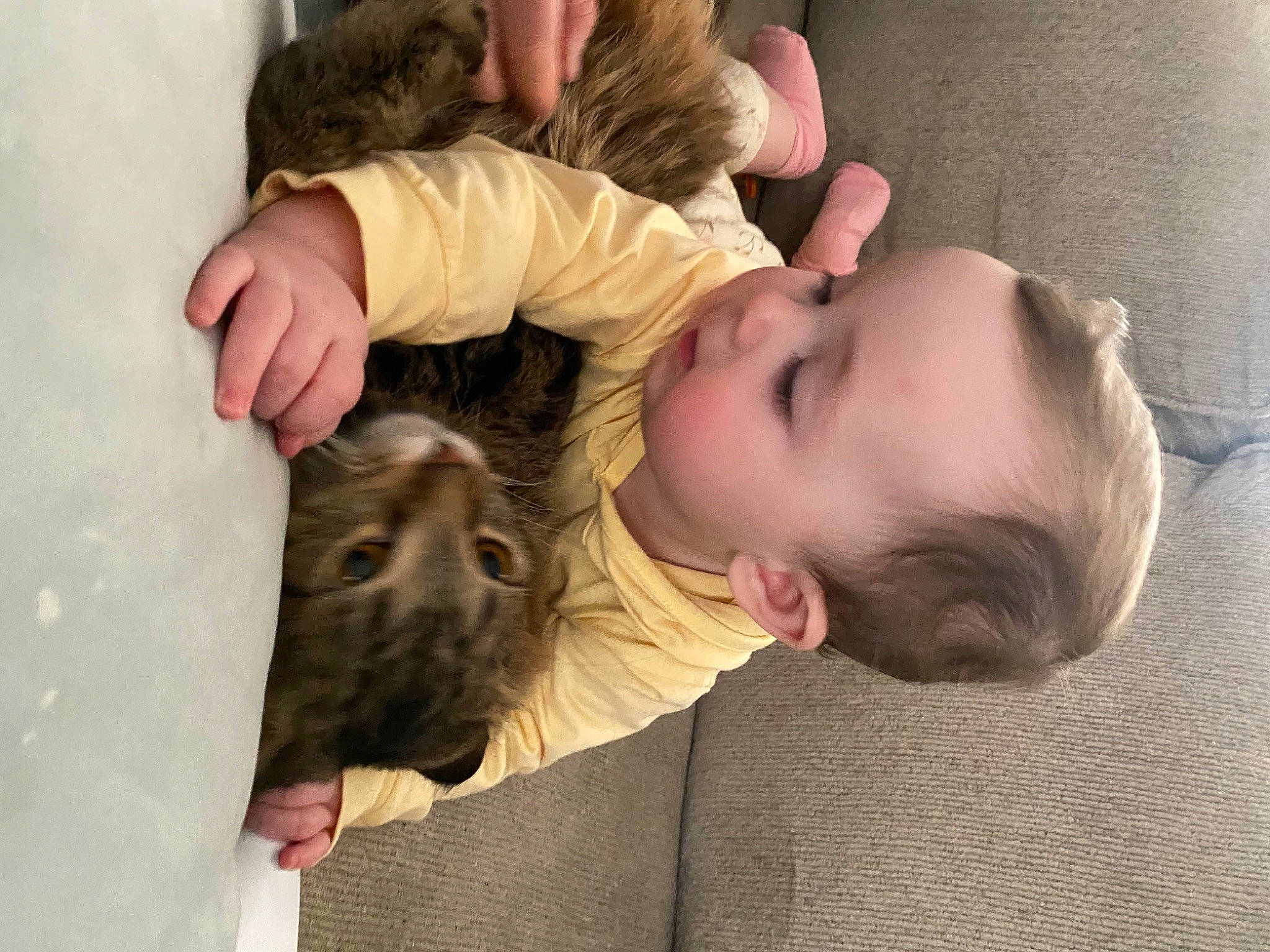 Emma is registered to the contest to win money with this photo: baby, cheek, child, comfort, companion_dog, dog_breed, ear, fawn, felidae, fun, fur, gesture, happy, mammal, nap, nose, people, person, skin, toddler