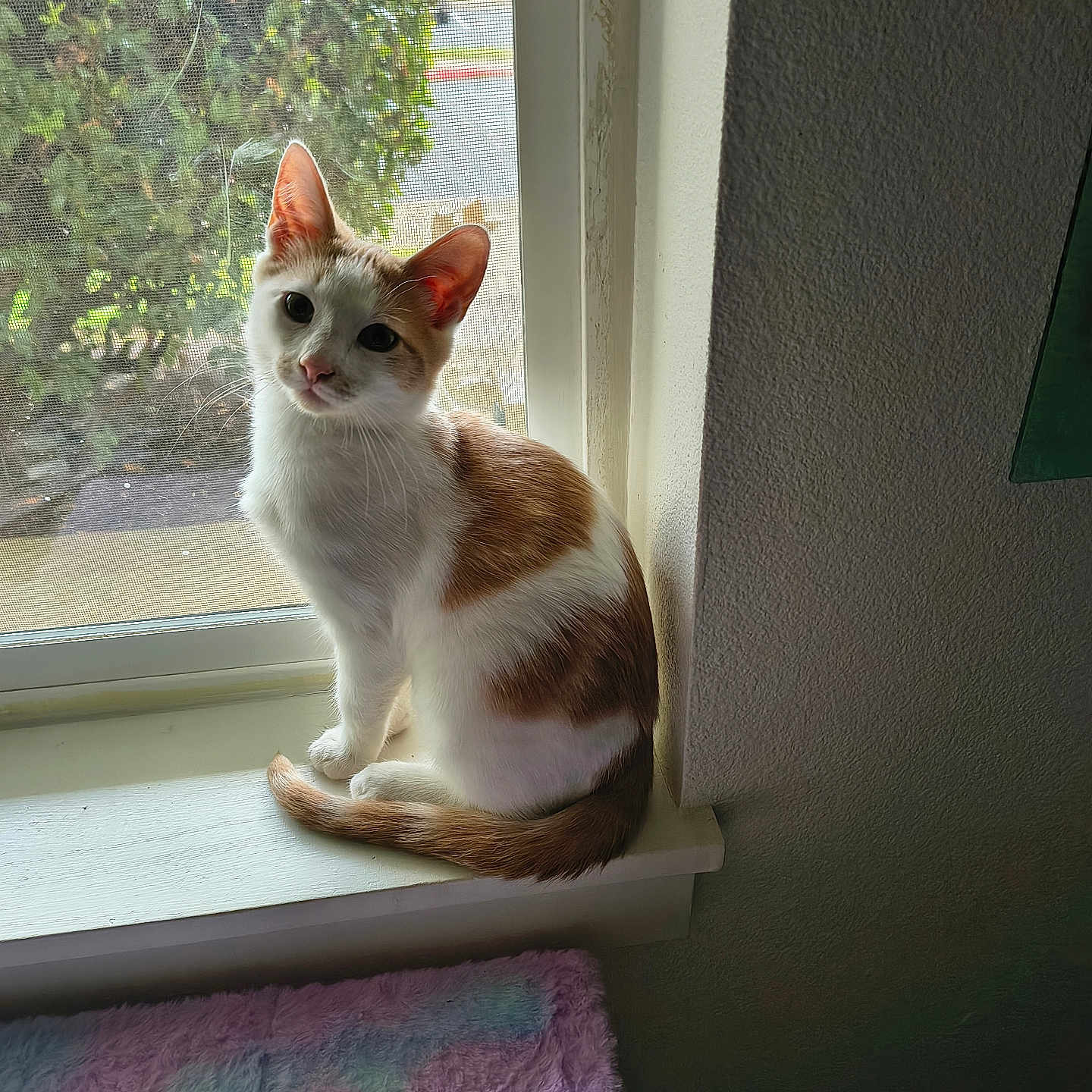 Max