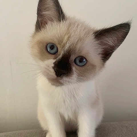 Billy