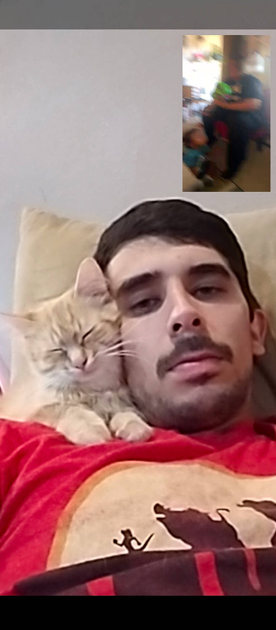 Lady joined the competition — help win amazing prizes! beard, carnivore, cat, comfort, cool, domestic_short_haired_cat, ear, facial_hair, felidae, fur, gesture, happy, jaw, linens, moustache, mouth, selfie, small_to_medium_sized_cats, t_shirt, whiskers