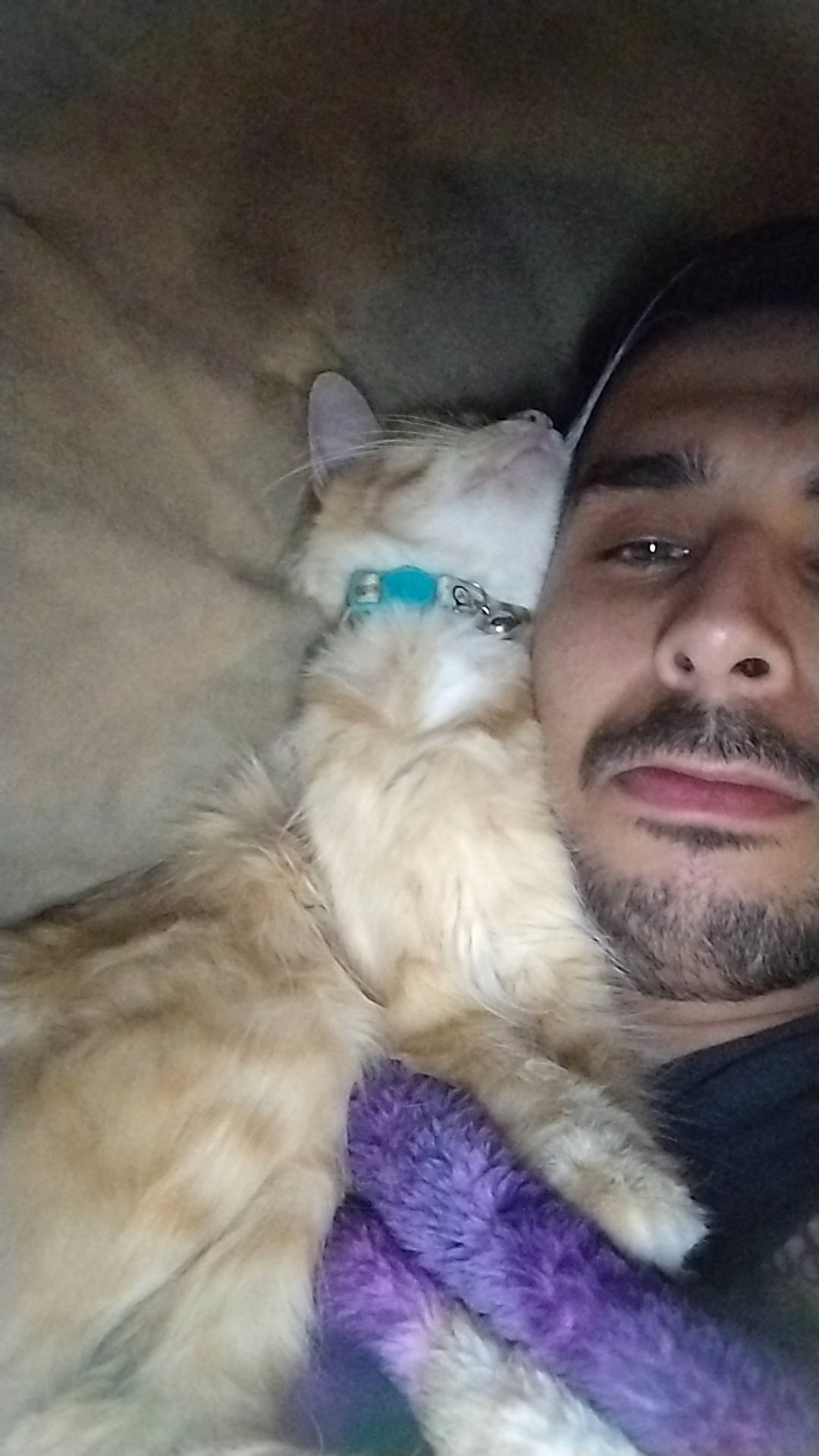 Lady joined the competition — help win amazing prizes! beard, carnivore, cat, comfort, companion_dog, dog_breed, eye, eyelash, facial_hair, fawn, felidae, flash_photography, fur, gesture, happy, iris, moustache, selfie, small_to_medium_sized_cats, whiskers