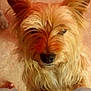 Lisie participe au concours pour gagner de l'argent avec cette photo :