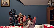 Hopey is registered to the contest to win money with this photo: cat, quilt, bed, indoor, white_cat, gray_cat, resting, sleepy, cozy, holiday_decor, figurines, blue_wall, framed_picture, sitting, pet, feline, home, furniture, relaxed, cute
