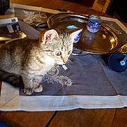 Mouna a rejoint le concours — aidez-le/la à gagner de superbes lots !