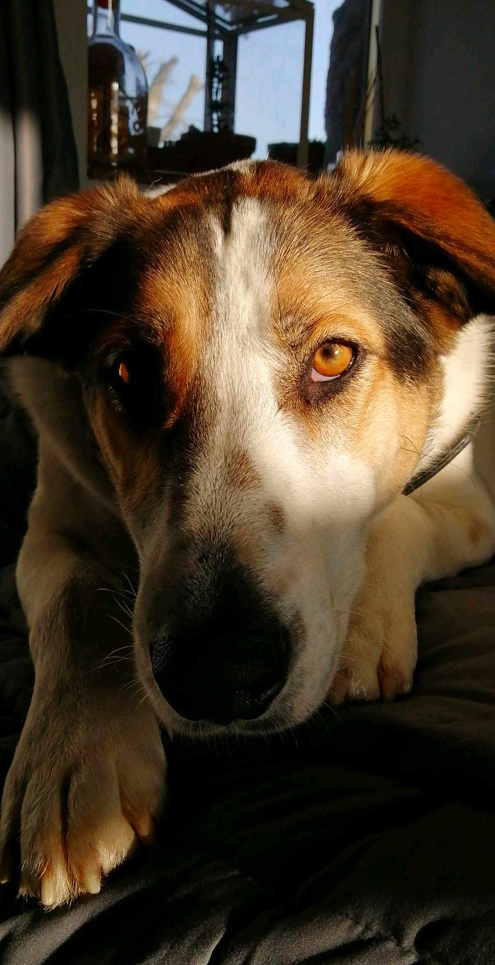 Lucy