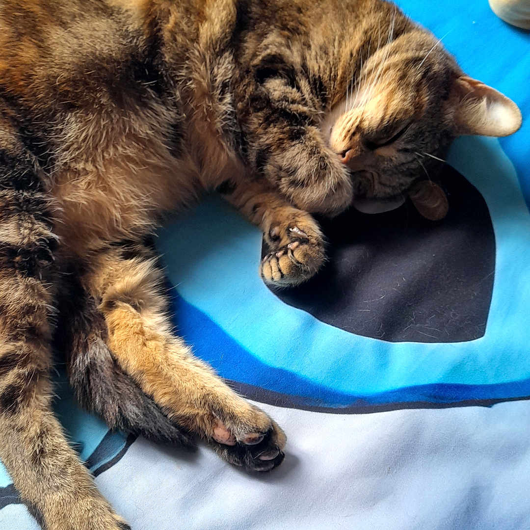 Lilou