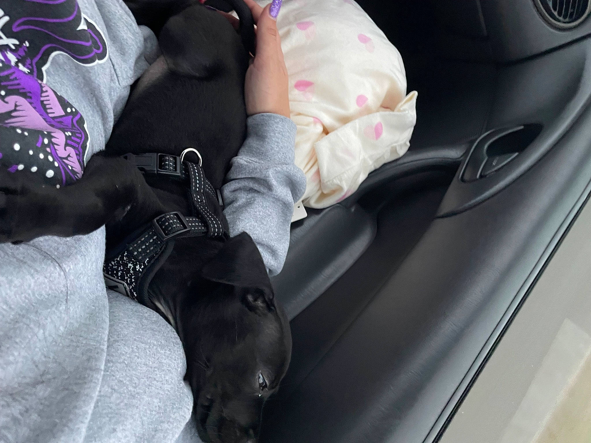 Kahlua joined the competition — help win amazing prizes! auto_part, automotive_design, automotive_exterior, automotive_lighting, automotive_mirror, automotive_tire, bumper, car, car_seat, car_seat_cover, gesture, hood, motor_vehicle, nail, personal_luxury_car, steering_wheel, trunk, vehicle, vehicle_door, windshield