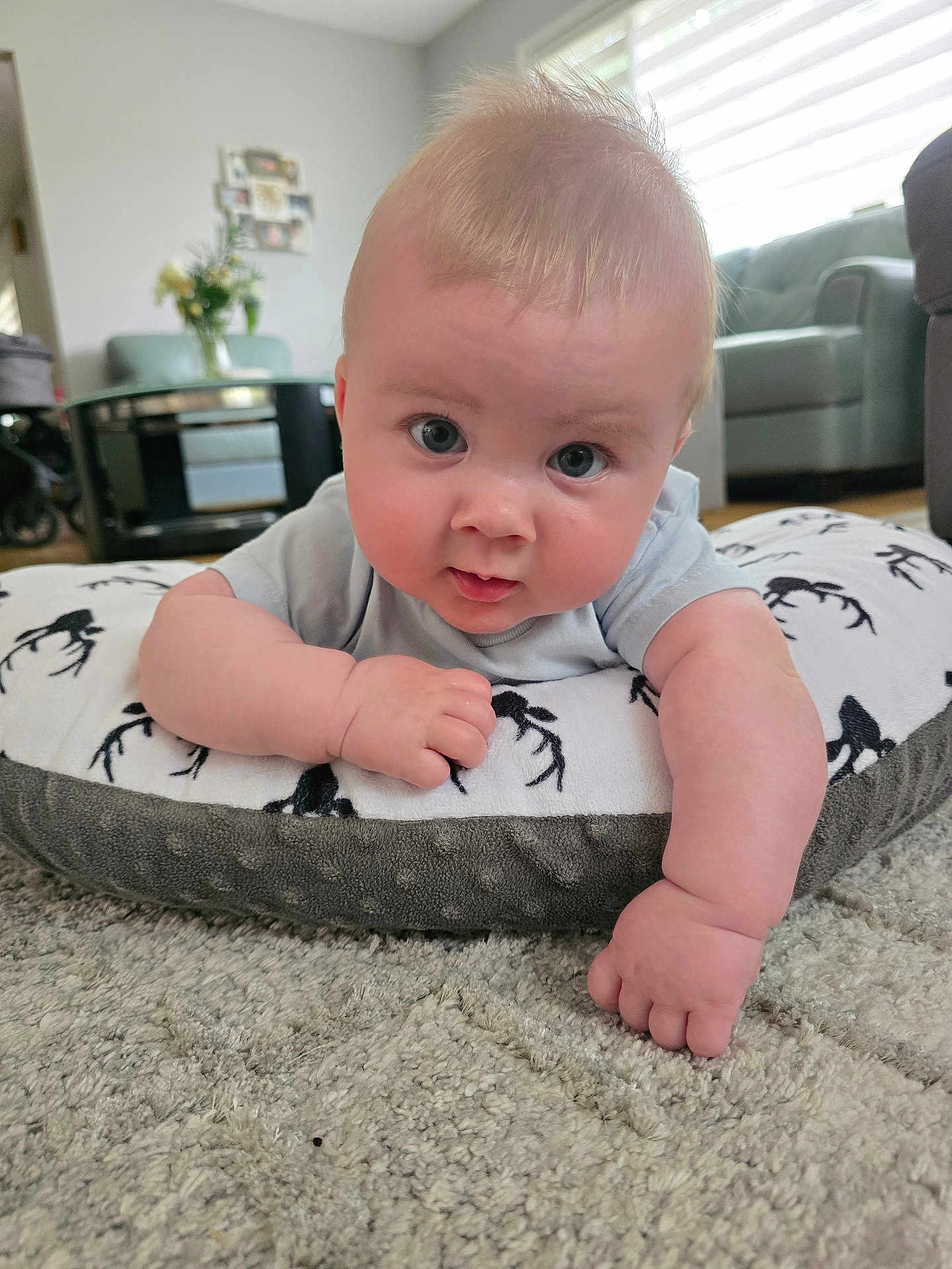 Michael is registered to the contest to win money with this photo: baby, infant, child, cushion, carpet, indoor, living_room, arm, face, eyes, curious, cute, soft, blanket, furniture, home, floor, skin, clothing, person