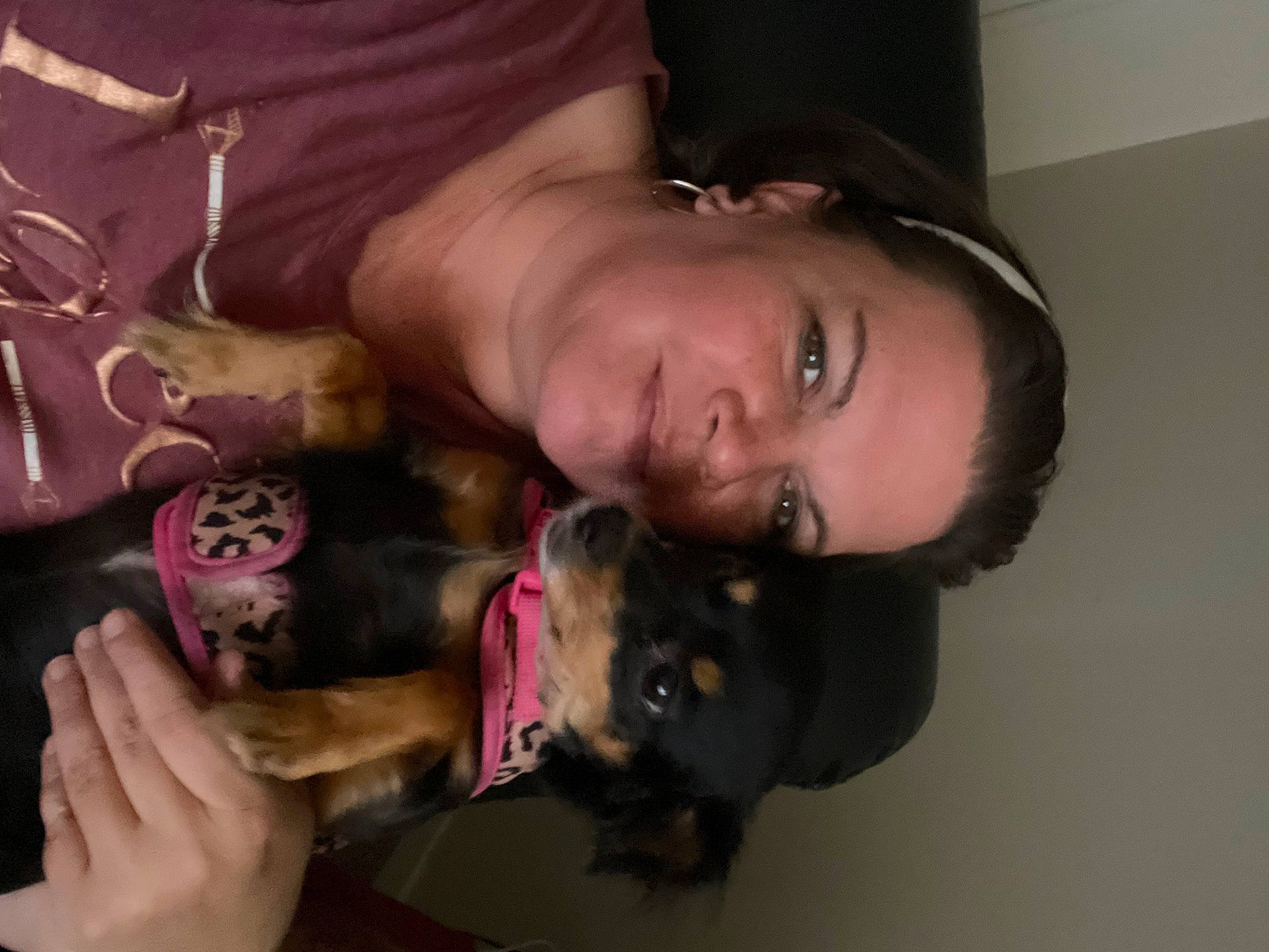 Tatum is registered to the contest to win money with this photo: black_hair, carnivore, chest, dog, dog_breed, ear, elbow, eyelash, fawn, finger, fun, gesture, happy, jaw, mouth, neck, nose, shoulder, skin, smile