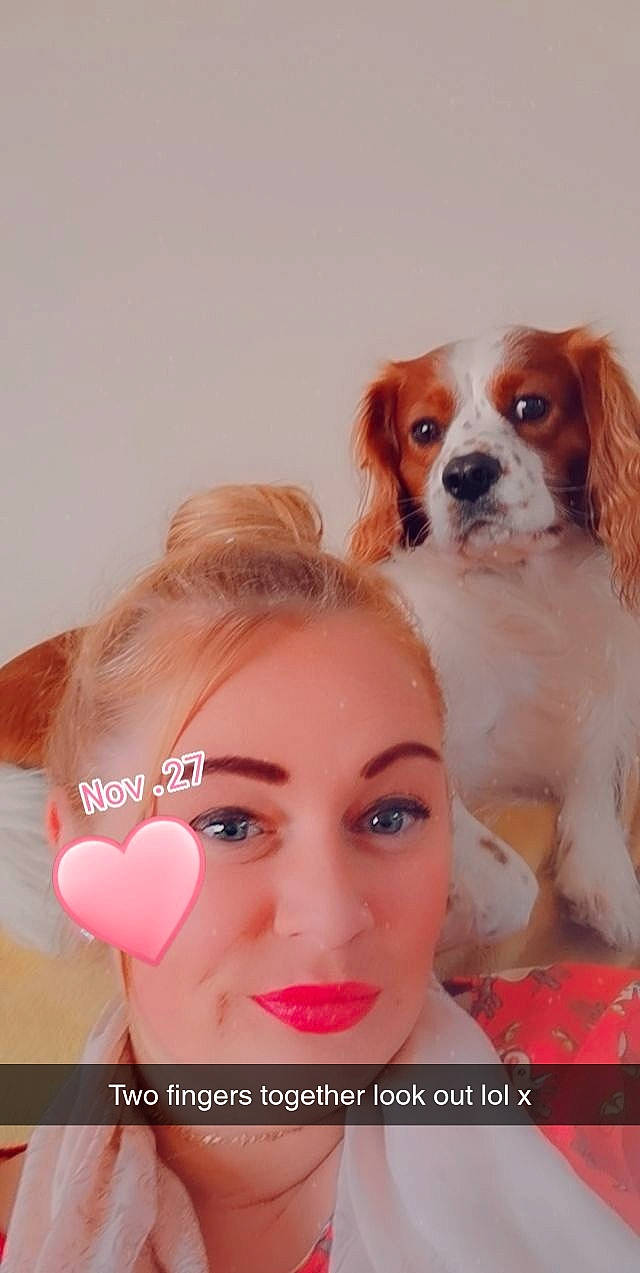 Maximus joined the competition — help win amazing prizes! canidae, carnivore, companion_dog, cosmetics, dog, dog_breed, door, eyelash, fawn, fur, gesture, happy, king_charles_spaniel, lip, lip_gloss, lipstick, liver, makeover, nose, sporting_group