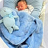 newborn, baby, sleeping, crib, bassinet, blanket, blue, stuffed_animal, bunny, toy, pillow, infant, portrait, indoors, nursery, cozy, peaceful, swaddled, mesh, bedding