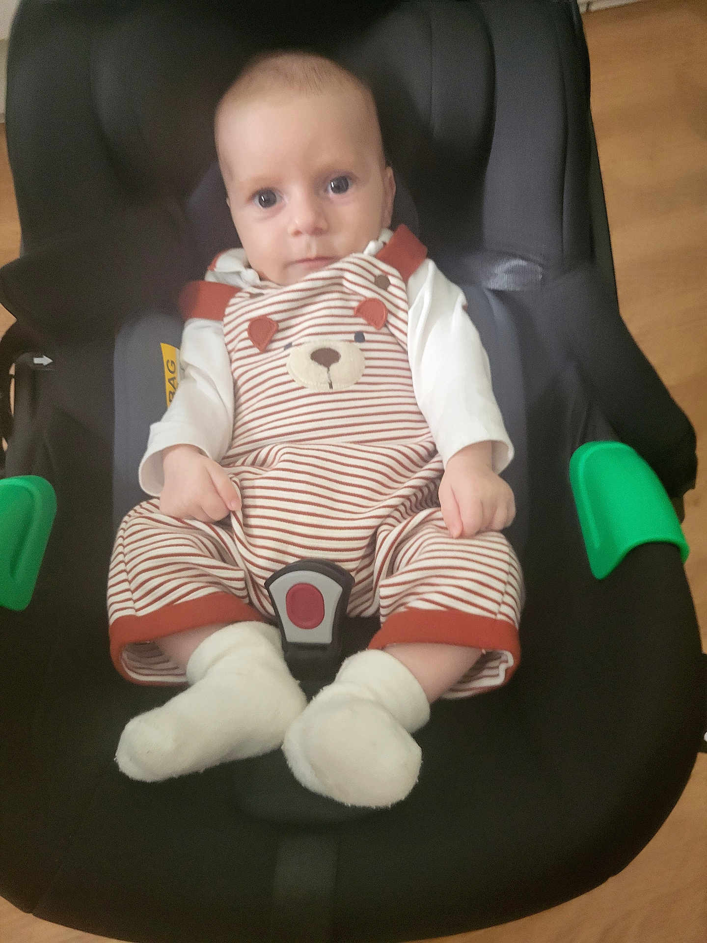 Thélio participe au concours pour gagner de l'argent avec cette photo : baby, child, car_seat, striped_clothing, bear_design, white_socks, indoor, black_seat, green_armrests, infant, person, cute, portrait, looking_at_camera, small_hands, sitting, floor, wooden_floor, clothing, baby_clothes