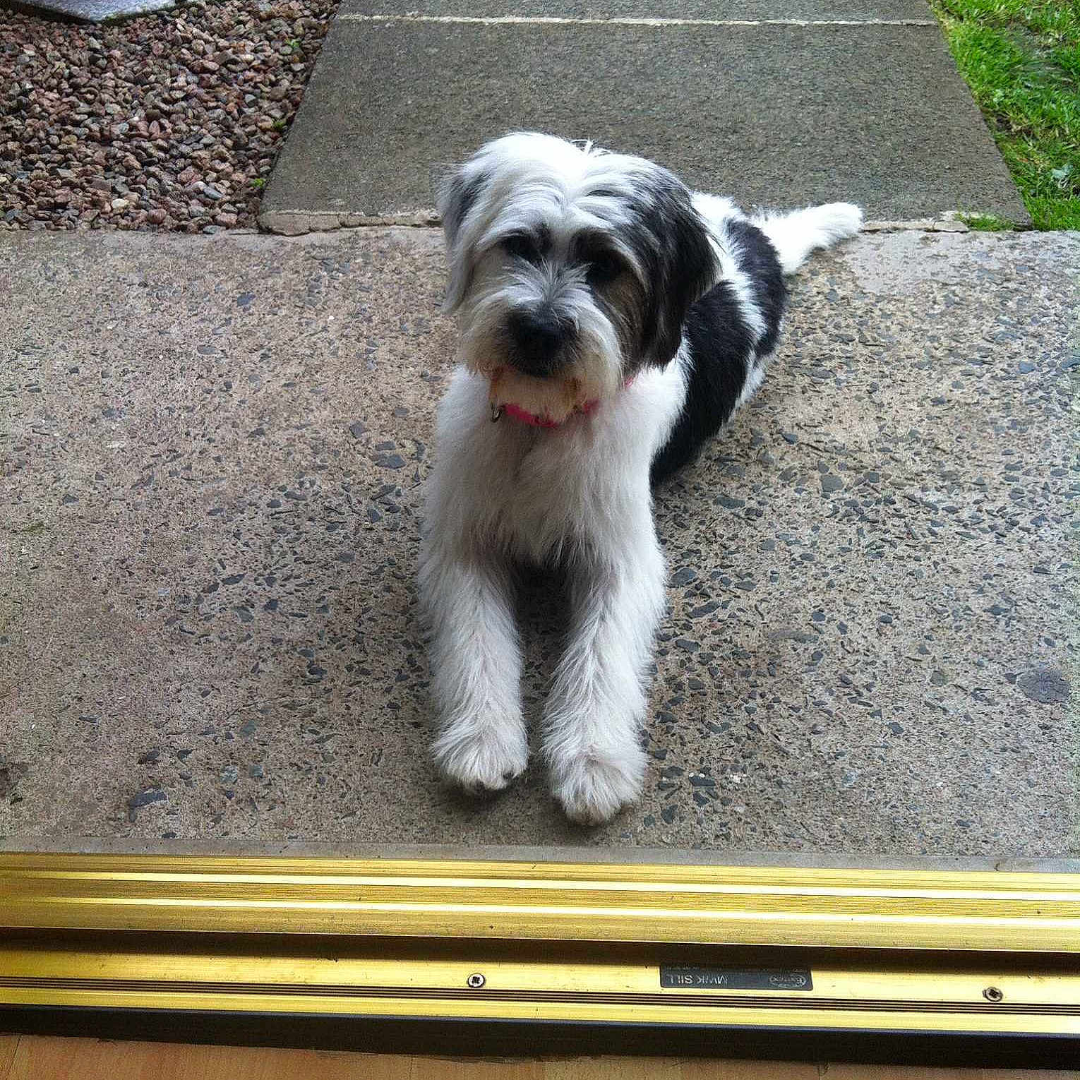 Eevee joined the competition — help win amazing prizes!