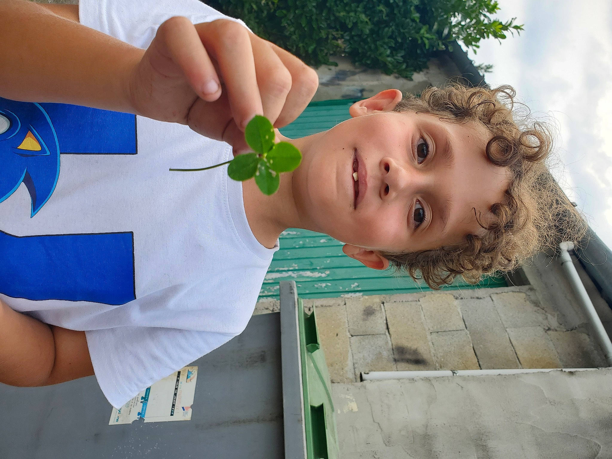 Valentin a rejoint le concours — aidez-le/la à gagner de superbes lots ! blue, child, fun, gesture, grass, happy, house, leisure, person, plant, play, recreation, sky, smile, thumb, toddler, tree, vacation, wood