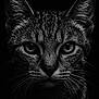 cat, close_up, black_and_white, portrait, whiskers, fur, animal, pet, face, eyes, dark_background, sharp_detail, intense_gaze, mammal, feline, no_humans, studio_lighting, monochrome, wildlife, nature