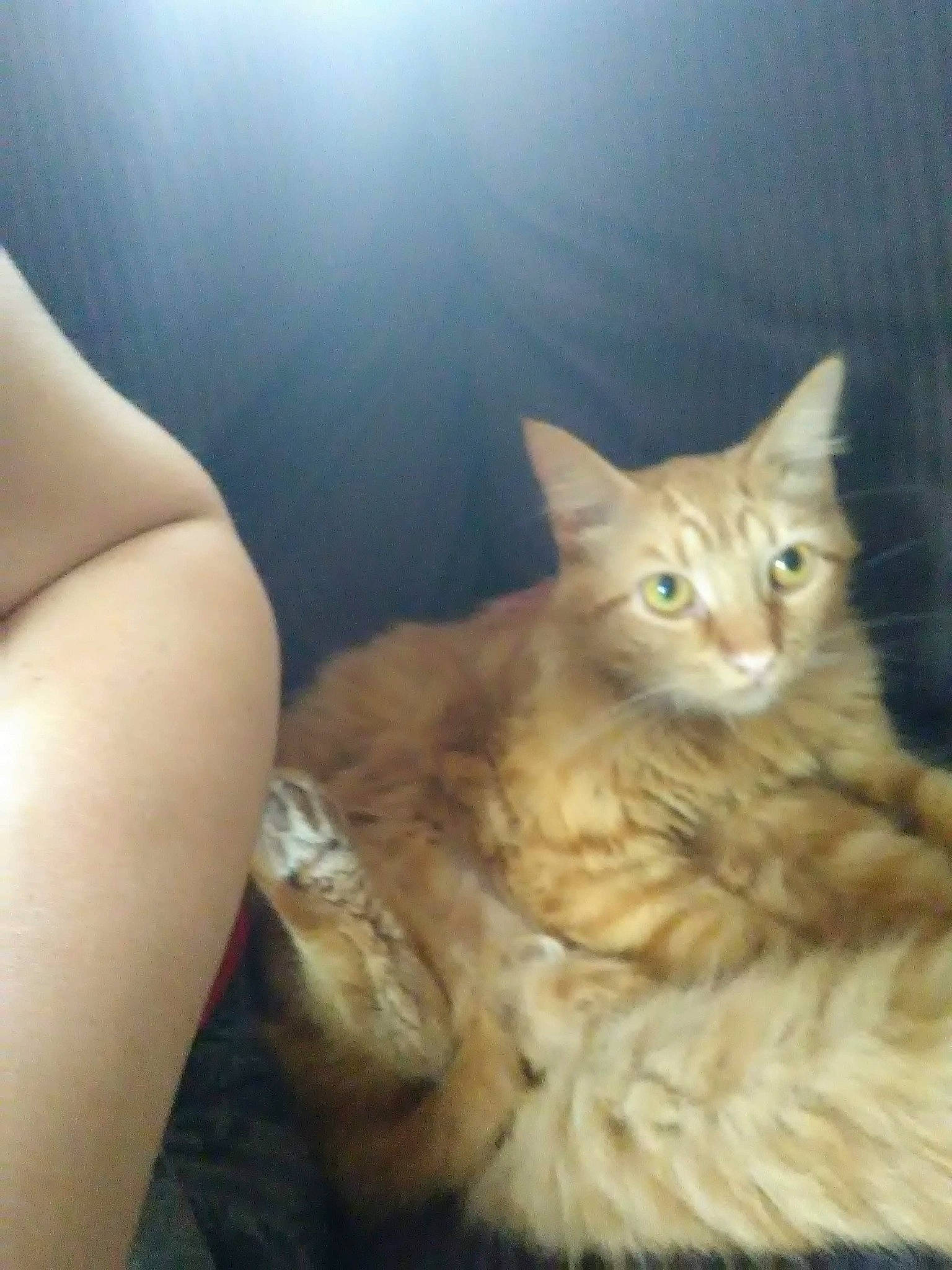 Oliver