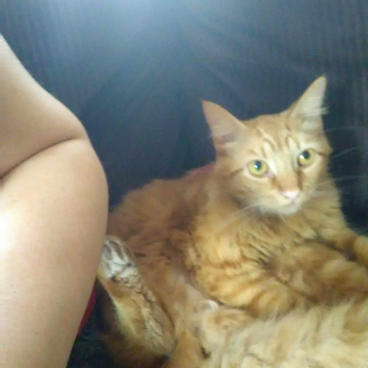 Oliver