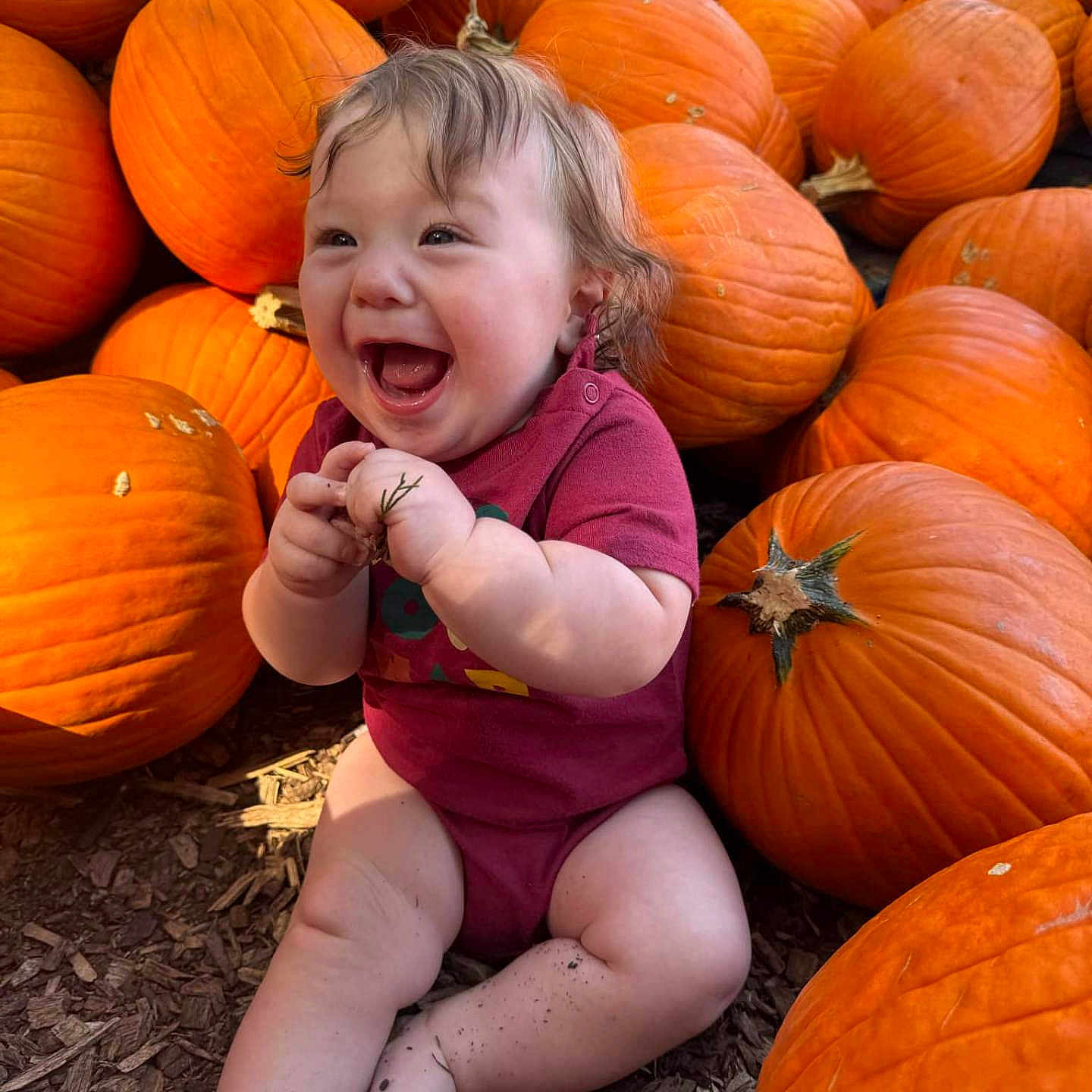 Clyde is registered to the contest to win money with this photo: baby, ball, face, food, happy, head, laughing, leaf, person, photography, plant, portrait, produce, pumpkin, sitting, sport, squash, tennis, tennisball, vegetable