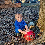 Beau joined the competition — help win amazing prizes! blue_shirt, bowling_ball, brick_wall, child, crouching, daylight, grass, leaves, nature, outdoor, person, playing, red_ball, smile, suburb, toddler, tree, tree_root, white_ball, yard