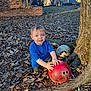 blue_shirt, bowling_ball, brick_wall, child, crouching, daylight, grass, leaves, nature, outdoor, person, playing, red_ball, smile, suburb, toddler, tree, tree_root, white_ball, yard