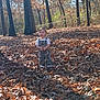 Beau joined the competition — help win amazing prizes! autumn, camouflage, casual_clothing, child, curious, daylight, fall, forest, leaves, nature, outdoor, overalls, person, scenery, shadow, standing, sunlight, toddler, trees, young_child