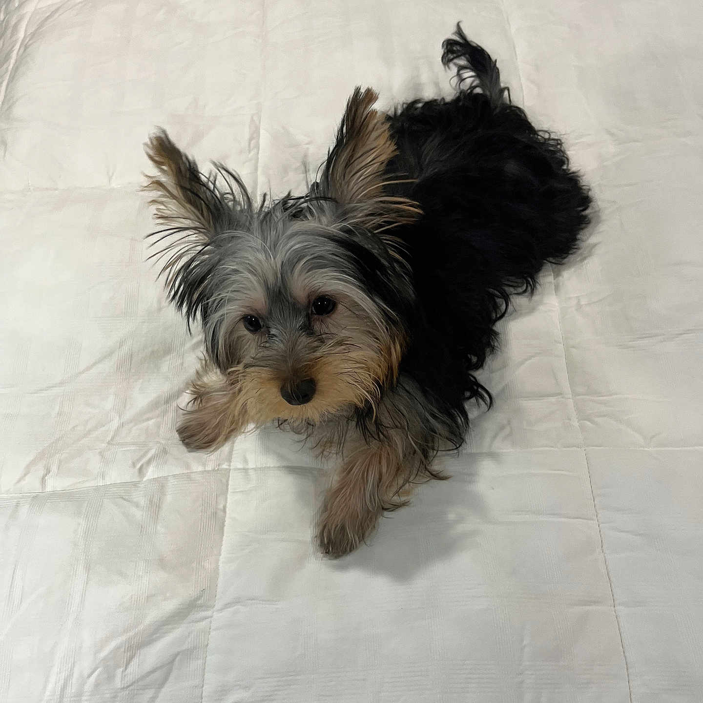 Benjamin James Smith