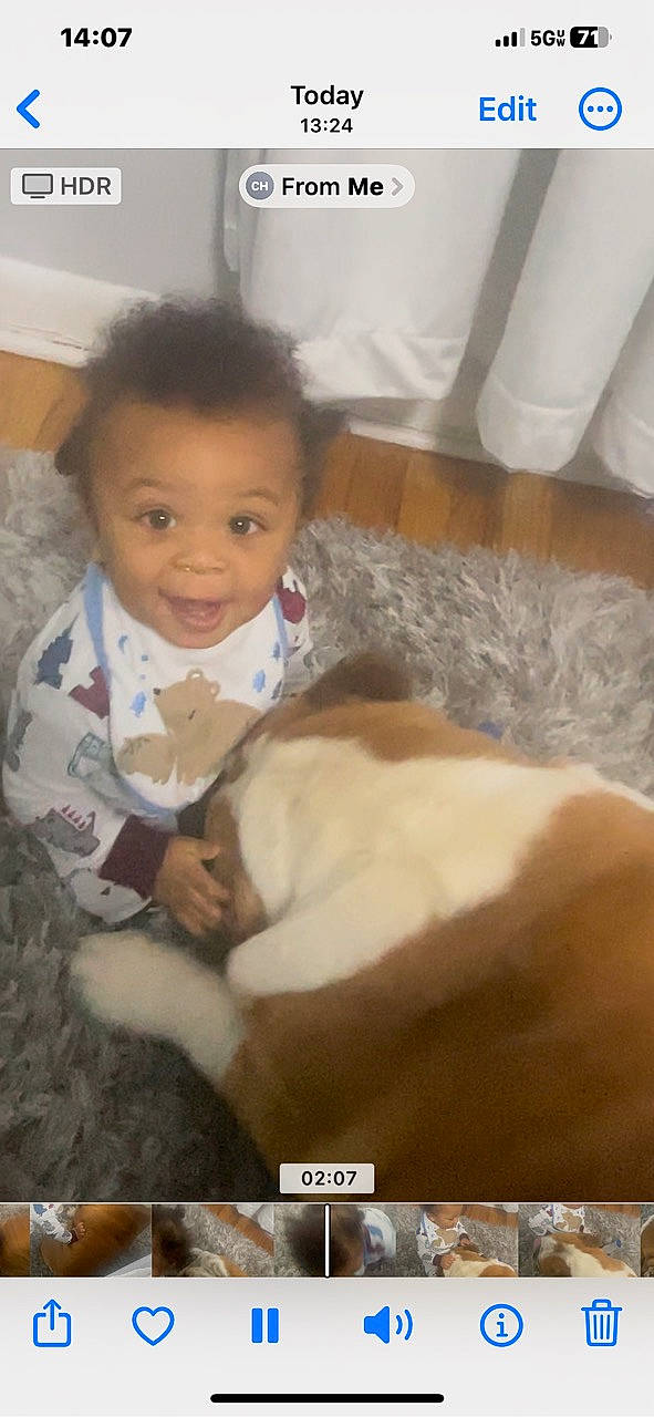 Friedrich is registered to the contest to win money with this photo: baby_toddler_clothing, carnivore, cat, cheek, child, comfort, companion_dog, dog_breed, domestic_short_haired_cat, fawn, felidae, flooring, fur, happy, person, room, sitting, small_to_medium_sized_cats, smile, toddler