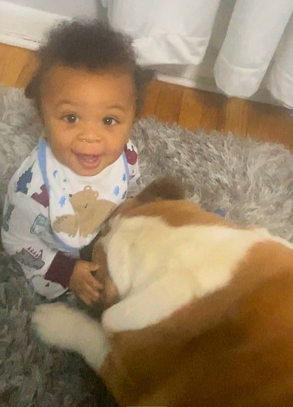 Friedrich is registered to the contest to win money with this photo: baby, baby_toddler_clothing, carnivore, cat, cheek, child, comfort, companion_dog, dog_breed, felidae, flooring, fur, happy, mammal, person, room, sitting, small_to_medium_sized_cats, smile, toddler