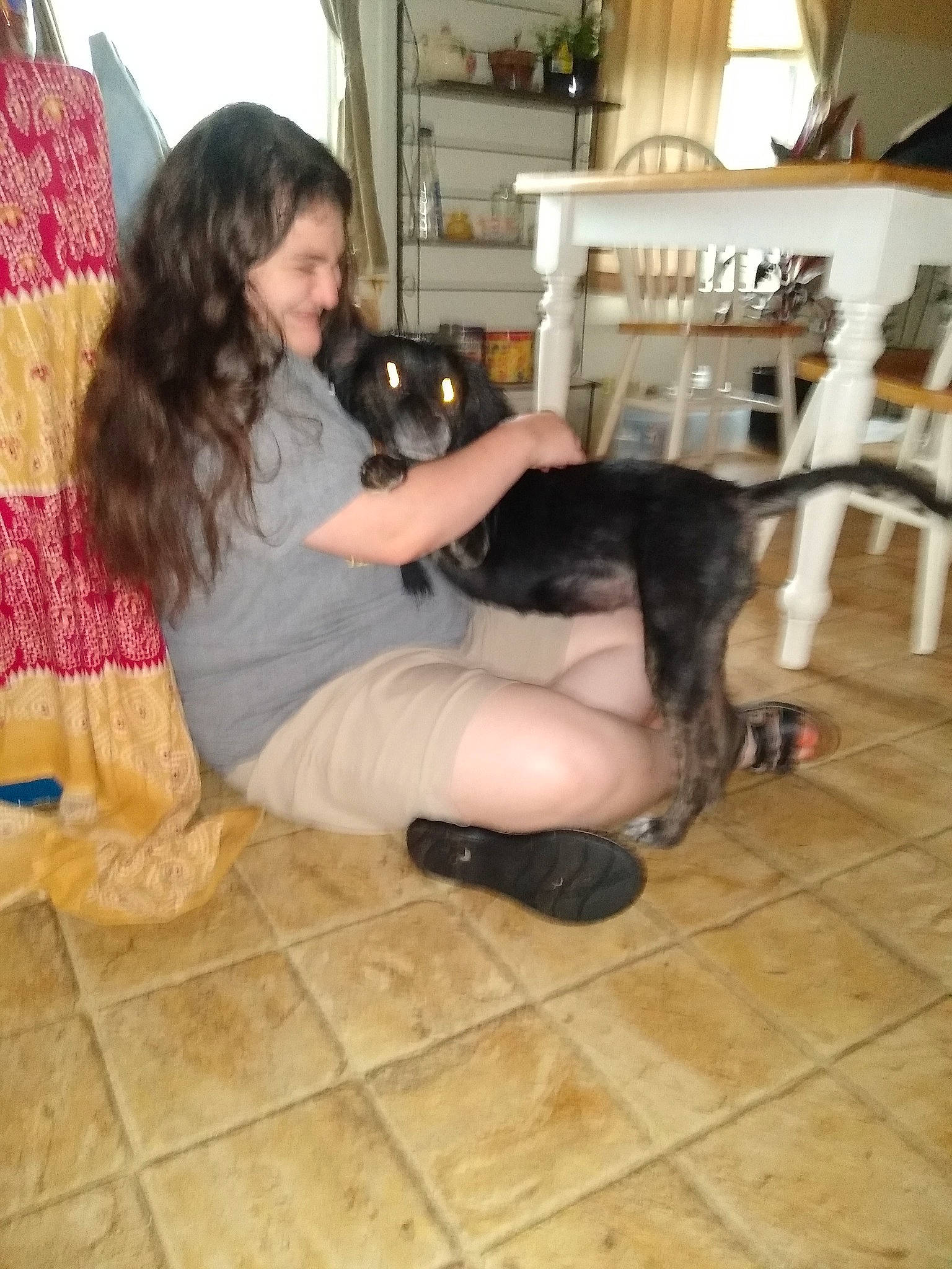 Evee is registered to the contest to win money with this photo: canidae, carnivore, companion_dog, dog_breed, fawn, floor, flooring, guard_dog, joy, leg, person, sitting, sporting_group